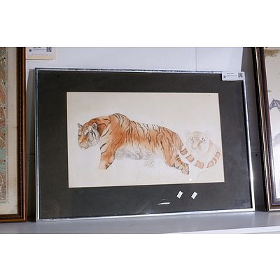 Framed Watercolour Study of Tigers