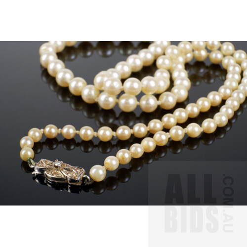 Strand of Cultured Pearls, Mikimoto Type with 18ct White Gold Clasp and Round Brilliant Cut Diamonds