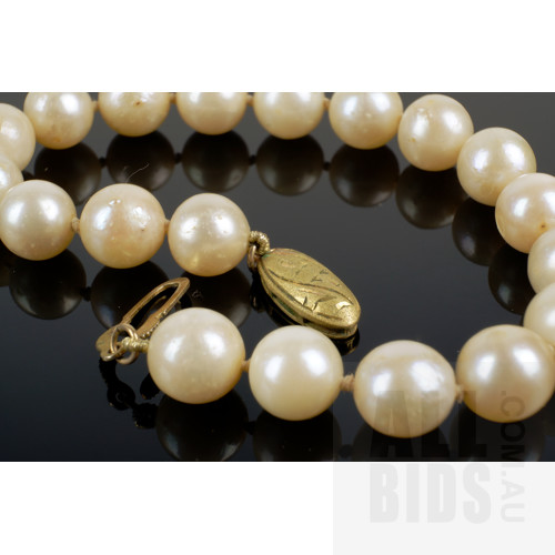 Akoya Type Cultured Pearl Bracelet with Sterling Silver Clasp