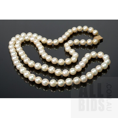 Strand of Akoya Type Cultured Pearls with 14ct Yellow Gold Clasp, Creamy White 6.5-7mm