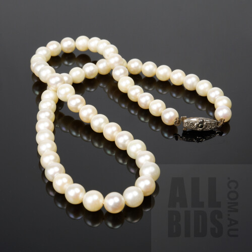 Strand of Round Akoya Type Pearls with Sterling Silver Clasp