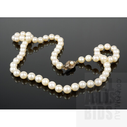 Strand of Round Cultured Akoya Type Pearls, Cream with Good Lustre