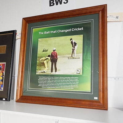 Framed Cricket Memorabilia 'the Ball That Changed Cricket'