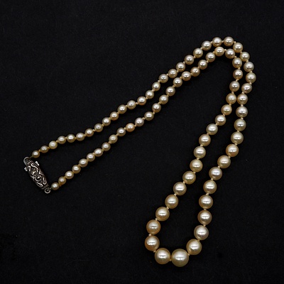 Strand of Graduating Cultured Pearls, Creme with Very High Lustre