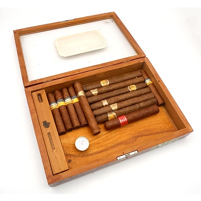 Cohiba Esplendidos Habana Cuba - Wooden Humidor Box with a Selection of Thirteen Various Four and Five Inch Cigars