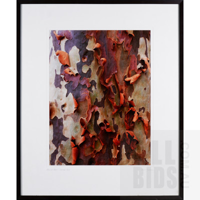 Brett Thompson, Peeling Bark. Spotted Gum, Colour Photograph, 63 x 46 cm (image size)