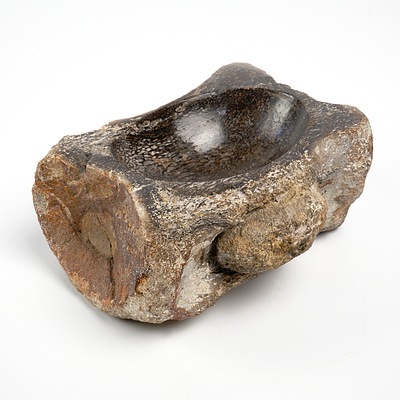 An open salt crafted from a Prehistoric Dinosaur Vertebrae