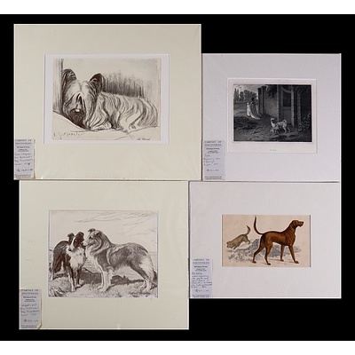 A Collection of Four Antique Engravings & Lithographic Prints of Dogs Including Pugs, Skye Terriers & Shetland Sheepdogs (4)