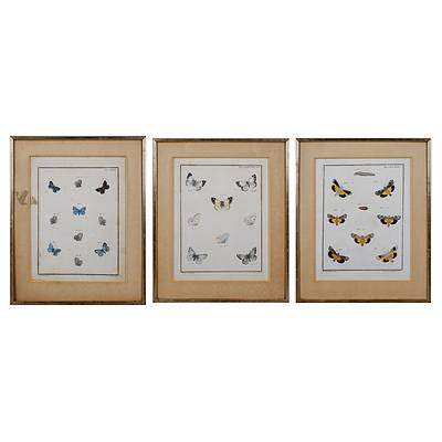 Three Framed Antique Hand-Coloured Prints of Butterflies (3)