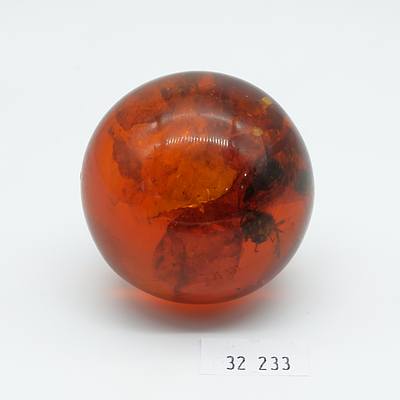 Amber Coloured Ball with Insect Inclusion