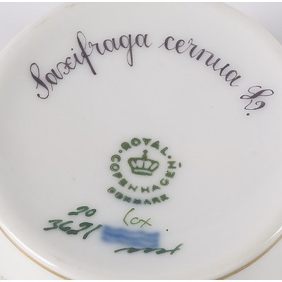 Royal Copenhagen Flora Danica Salad Plate (20/3573) and Saxifraga Cernua Demitasse Cup & Saucer (20/3621)