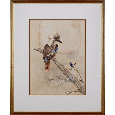 Alice Cayley (Early 20th Century), Kookaburra and Wren, Watercolour