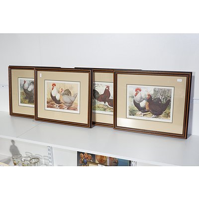 Set of Four Vintage Framed Poultry Prints