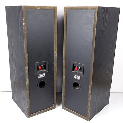 Pair of Richter Acoustics Floorstanding Hi Fi Speakers
