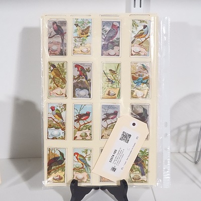Vintage Wills Cigarette Cards - 54 Birds of Australia Cards, Part Set Circa 1912 Hinged to Board