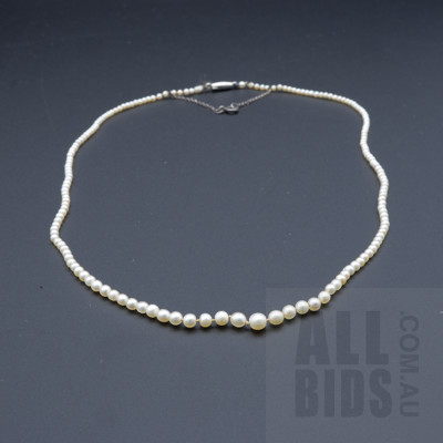 Antique Cultured Pearl Necklace with Sterling Silver Clasp