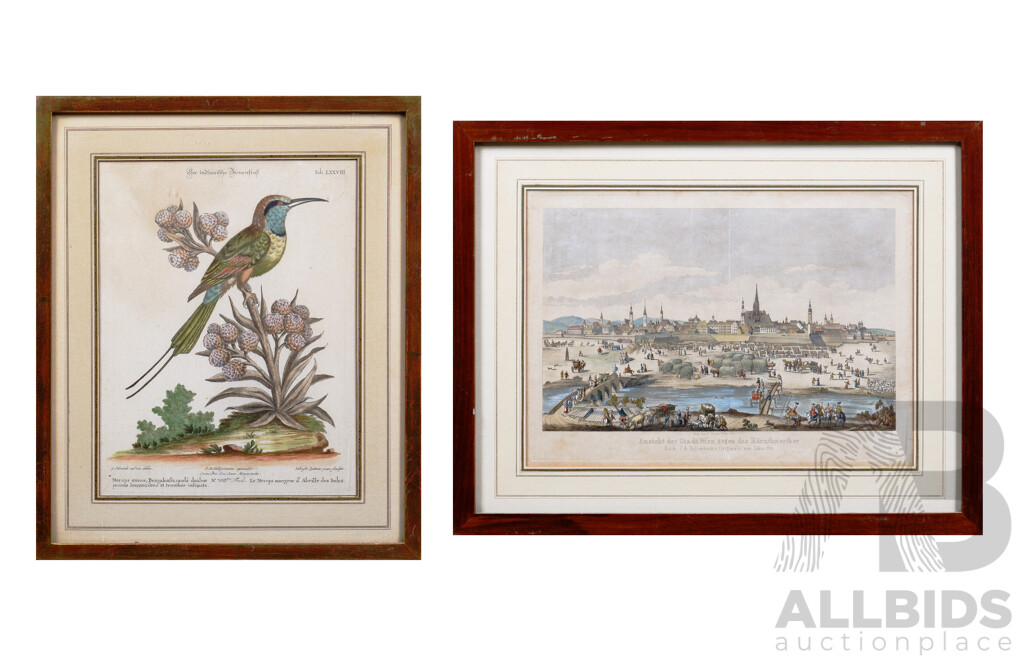 Two Antique European Coloured Engravings, View of the City of Vienna Together with the Indian Fife Ornamental Bird (2)