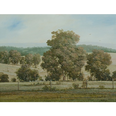 TAYLOR Michael John (b.1939) 'View across the Hills'