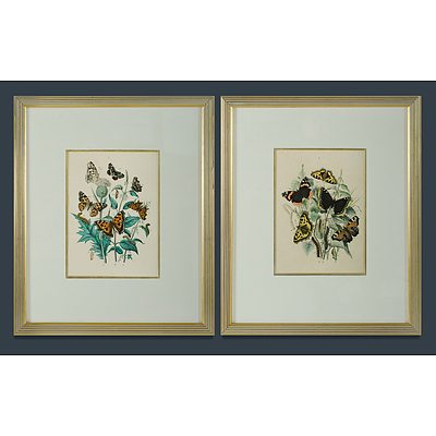 Two Hand-Coloured Steel Plate Etchings (Untitled - Butterflies 1 and 2)