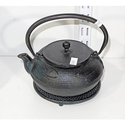 Japanese Cast Iron Teapot, Moulded with Dragonfly's