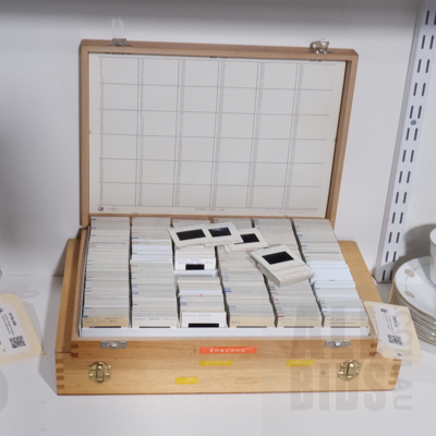 Two Wooden Cases with a Large Quantity of Vintage Slides (2)