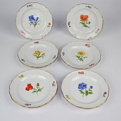 Six Meissen Hand Painted Botanical Dishes with Gilded Scalloped Rims