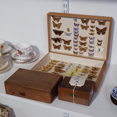 Wooden Case Containing 73 butterfly Specimens, Monopole Cigar Box and Small Wooden Coin Box
