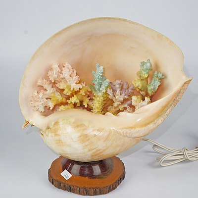 Retro Shell Table Lamp with Coloured Coral Interior
