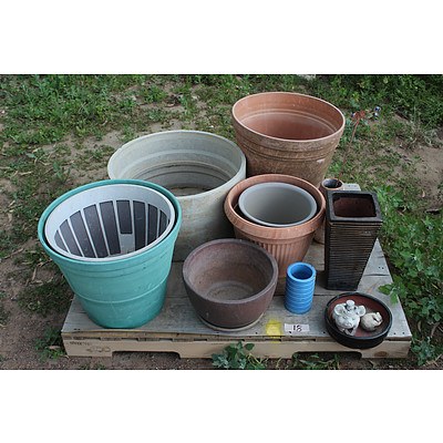 Various Pots and Concrete Surround