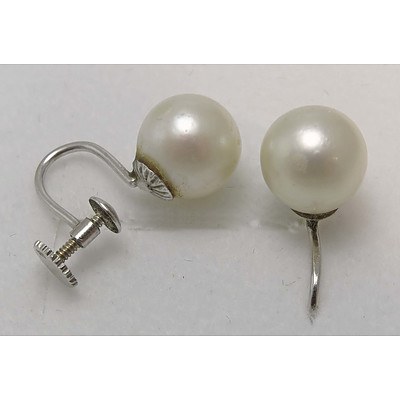 14ct White Gold Pearl Earrings