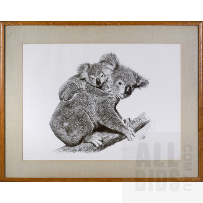 Framed Limited Edition Art Print of a Koala Pencil Sketch - 65/450 - Signed Lower Right