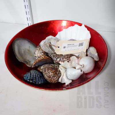 Large Lacquered Bowl with a Collection of Assorted Shells
