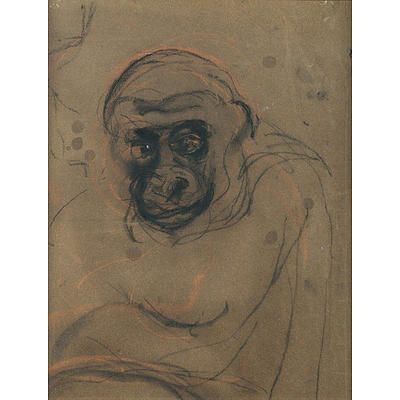 Marie (Forli) Santry , Study of an Ape, Charcoal & Pastel