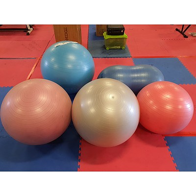 Assorted Gym Balls - Lot of 5