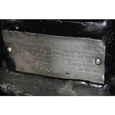 Forrers Submersible Induction Motor and Pump