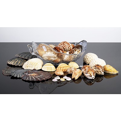 Orrefors Leaf Bowl with a Collection of Seashells