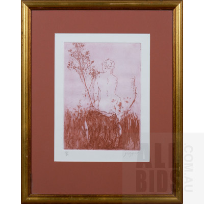 Framed Limited Edition Etching - Signed Indistinctly Lower Right - Image Size 25 x 18 cm