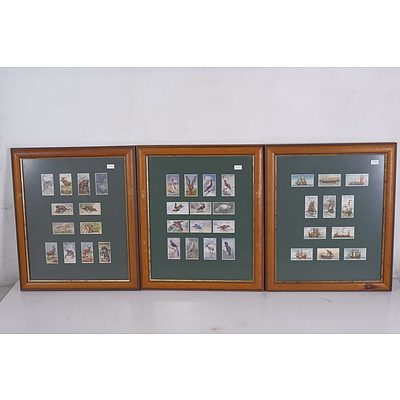 Three Framed Sets of Antique Cigarette Cards in Double Sided Frames (3)