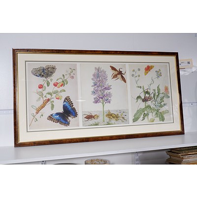 Framed Flora and Fauna Art Print