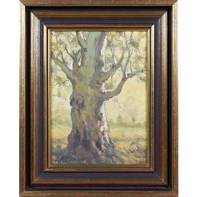 John Gardner (1906-1987), Untitled (Gum Tree), Oil on Board