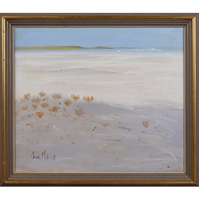 Jenni Mitchell (born 1955), Lake Eyre 1987, Oil on Canvas