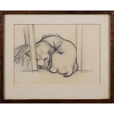 May Barrie (born 1918), Puppy Study 1944, Pencil on Paper, 14 x 20 cm