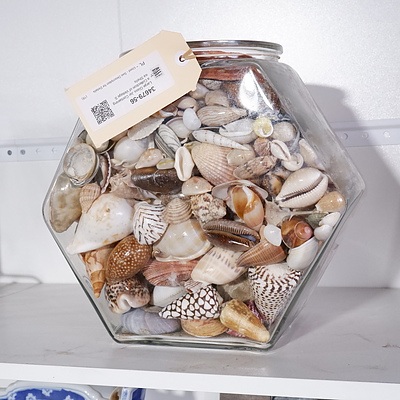 Large Glass Jar Containing a Collection of Vintage Sea Shells