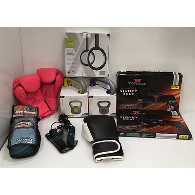 Assorted Boxing, Gym And Recreational Equipment