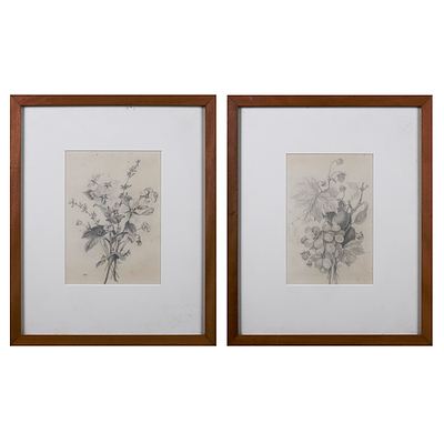 Two Framed Pencil Sketches of Fruit and Flowers, each 22 x 15 cm (2)