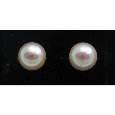 18ct Gold Akoya Cultured Pearl Earrings