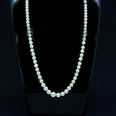 Strand of Cultured Pearls, Light Creme in Colour, Very High Lustre, Clasp with Mikimoto Emblem