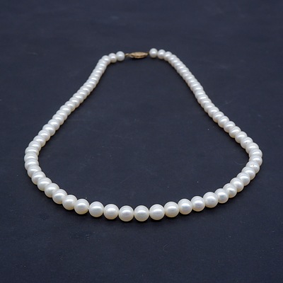 Strand of Cultured Akoya Type Pearls