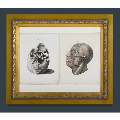 Andrew FYFE (British 1752-1824) (2) 'Tab 6 The Outer & Under Surface of the Skull, Turned a Little to the Left Side;' & 'Tab 187 The Nerves of the Face.' , Copperplate Engravings (2)