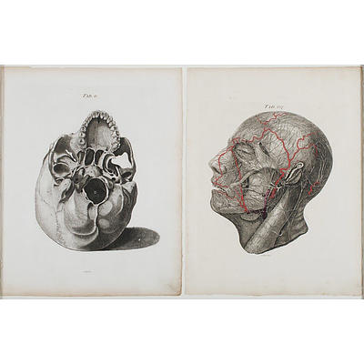 Andrew FYFE (British 1752-1824) (2) 'Tab 6 The Outer & Under Surface of the Skull, Turned a Little to the Left Side;' & 'Tab 187 The Nerves of the Face.' , Copperplate Engravings (2)